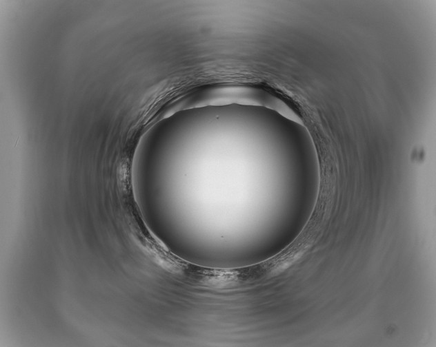 X0000091990288200709061424