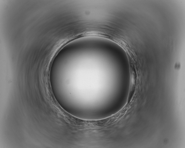 X0000091990289200709061424