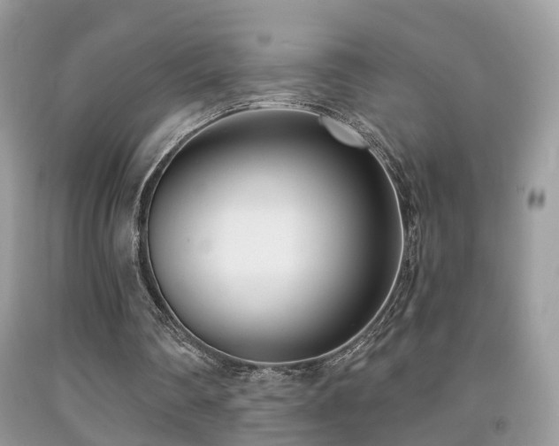 X0000091990290200709061424