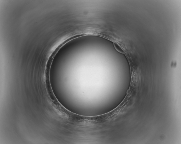 X0000091990292200709061424