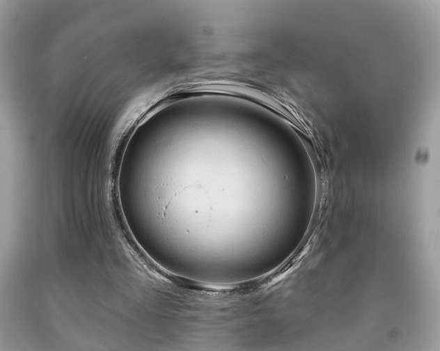 X0000091990293200709061424