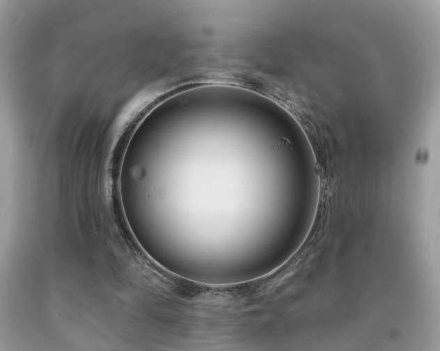 X0000091990294200709061424