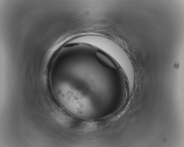 X0000091990295200709061424