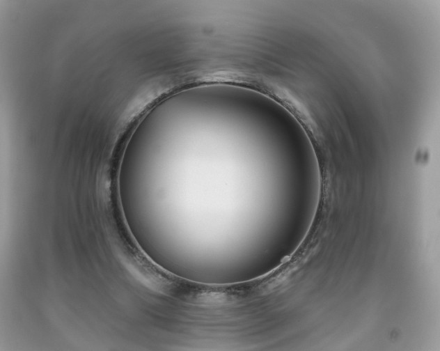 X0000091990298200709061424
