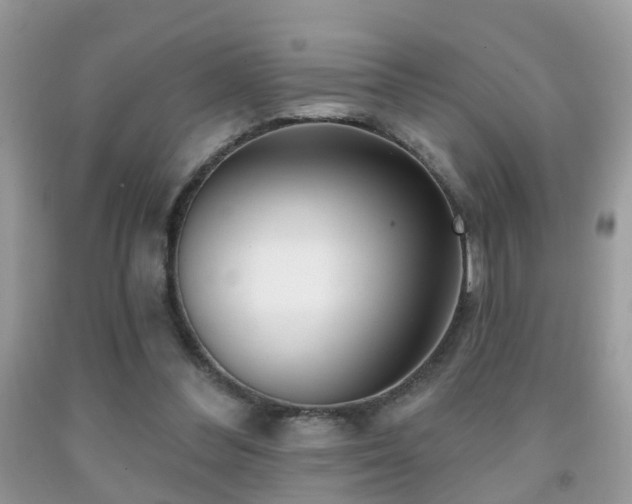 X0000091990300200709061424