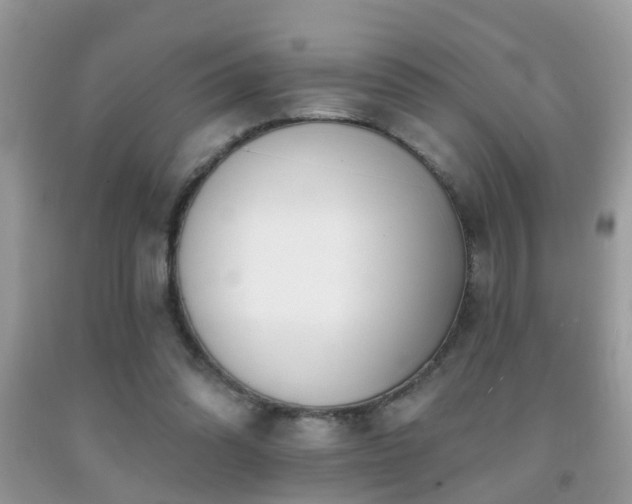 X0000091990302200709061424