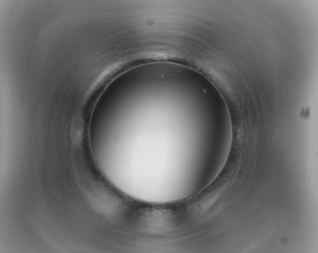 X0000091990304200709061424