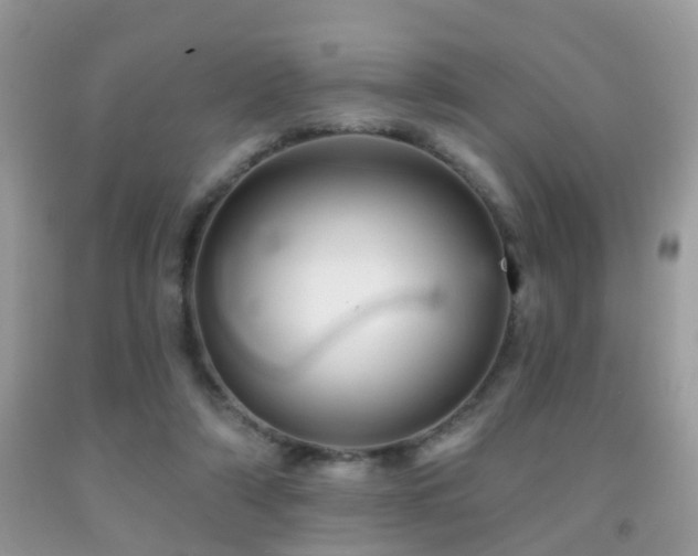 X0000091990306200709061424