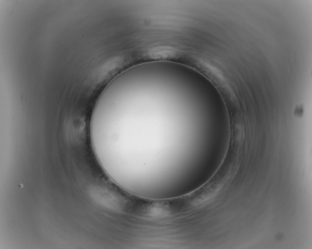X0000091990308200709061424