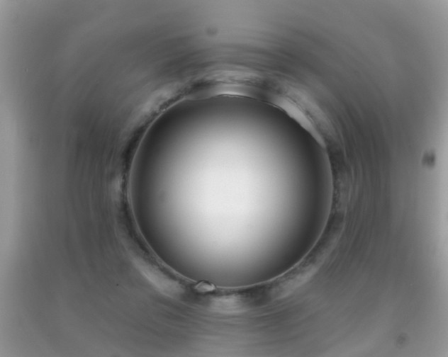 X0000091990309200709061424