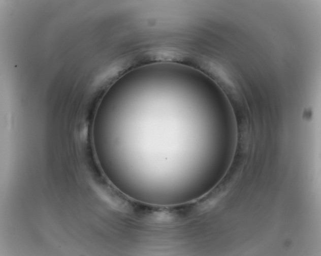 X0000091990310200709061424