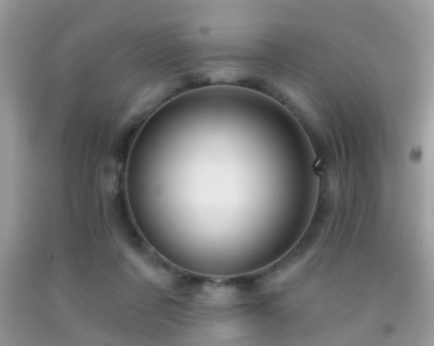 X0000091990311200709061424