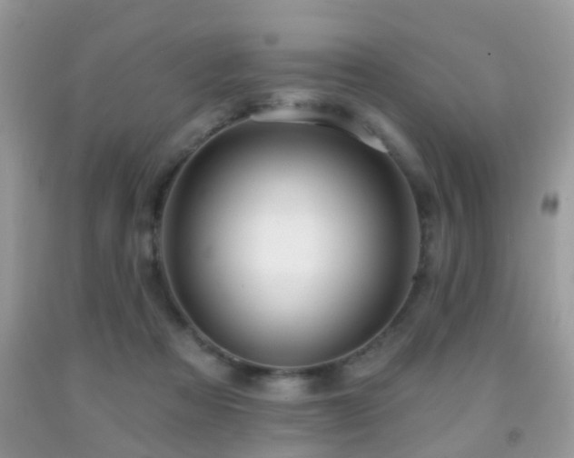 X0000091990313200709061423