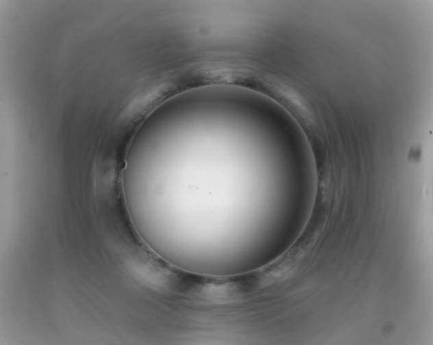 X0000091990314200709061423