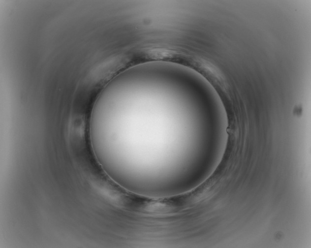 X0000091990315200709061423