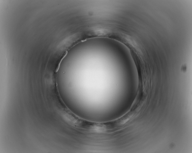 X0000091990317200709061423