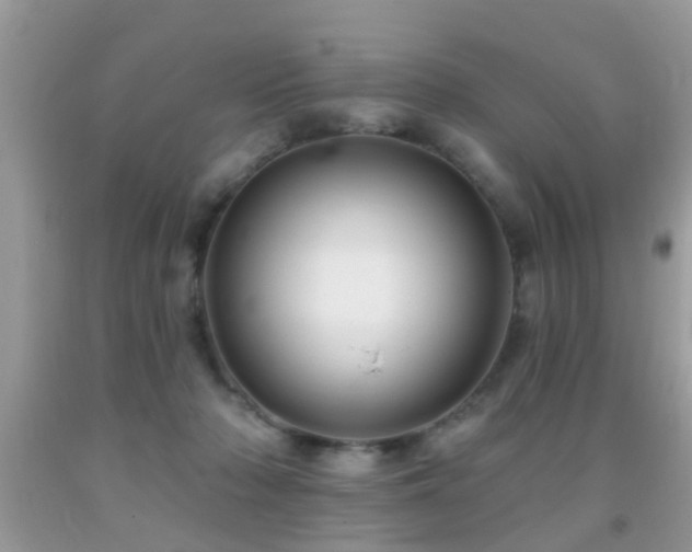 X0000091990318200709061423