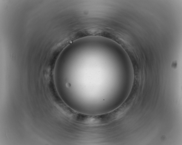 X0000091990319200709061423