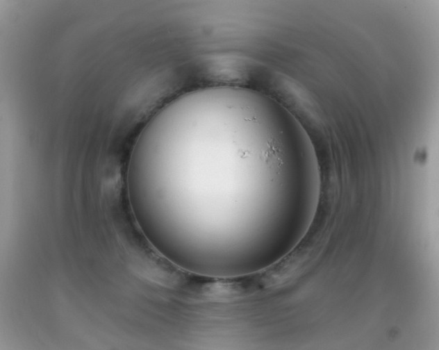 X0000091990320200709061423