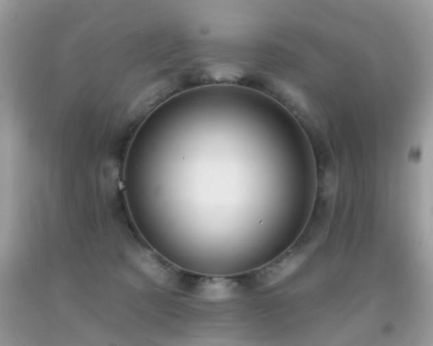 X0000091990321200709061423