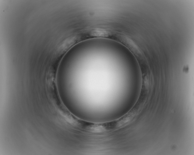 X0000091990322200709061423