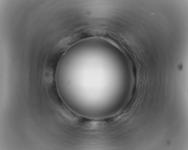 X0000091990323200709061423