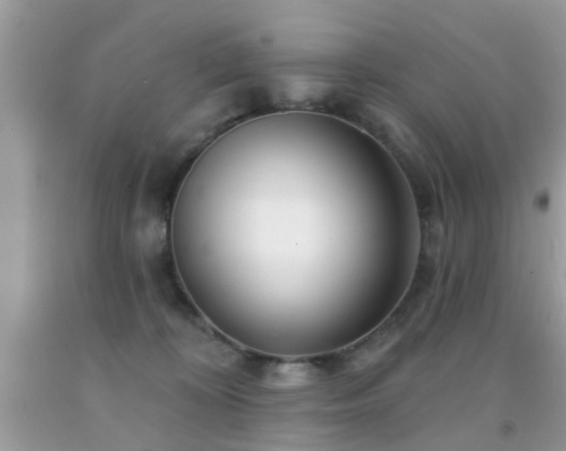 X0000091990324200709061423
