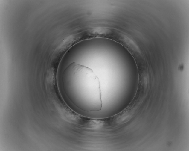X0000091990328200709061423