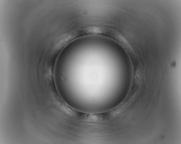 X0000091990330200709061423