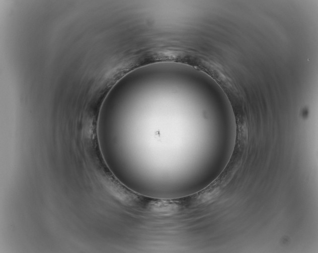 X0000091990331200709061423
