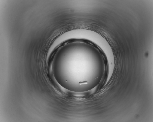 X0000091990333200709061423