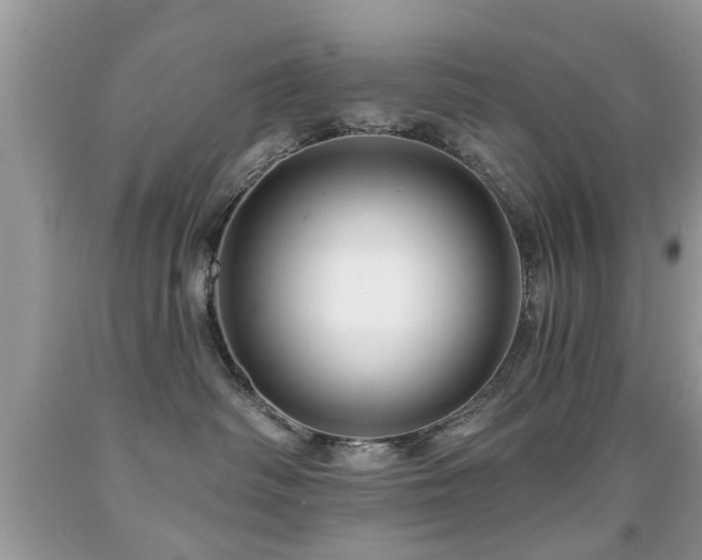 X0000091990334200709061423