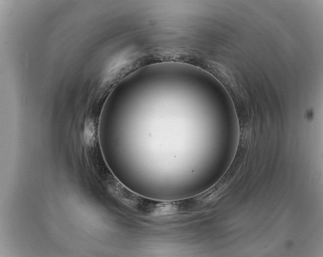 X0000091990335200709061423