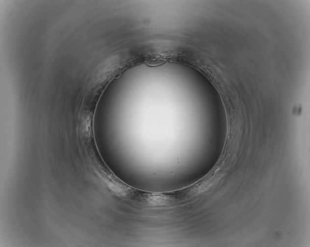 X0000091990336200709061423