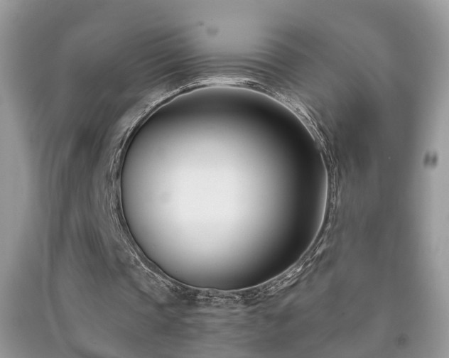 X0000091990337200709061423