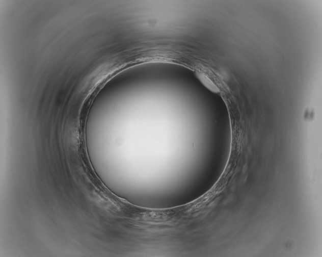 X0000091990338200709061423