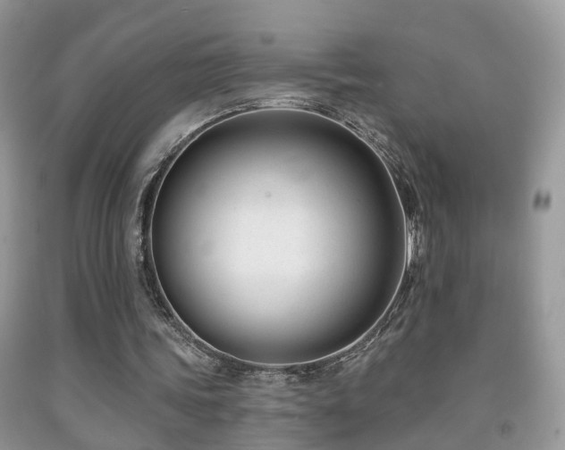 X0000091990339200709061423
