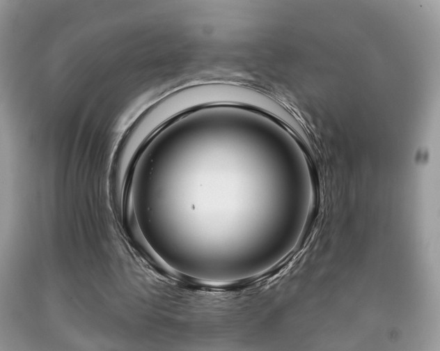 X0000091990340200709061423