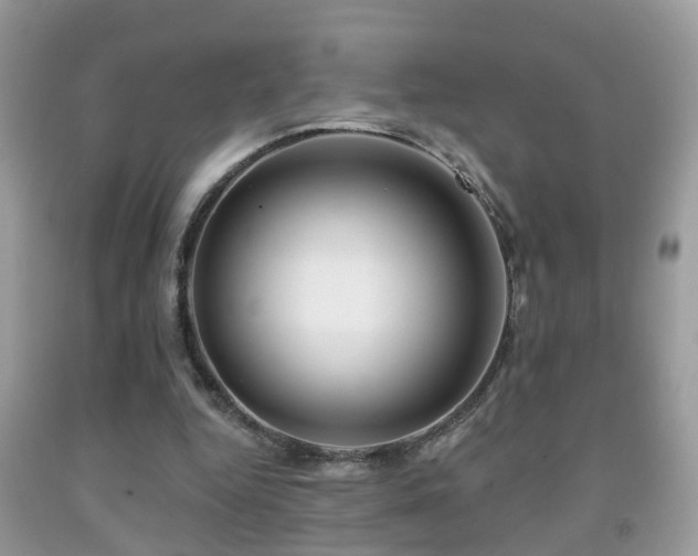 X0000091990344200709061423
