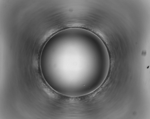X0000091990345200709061423