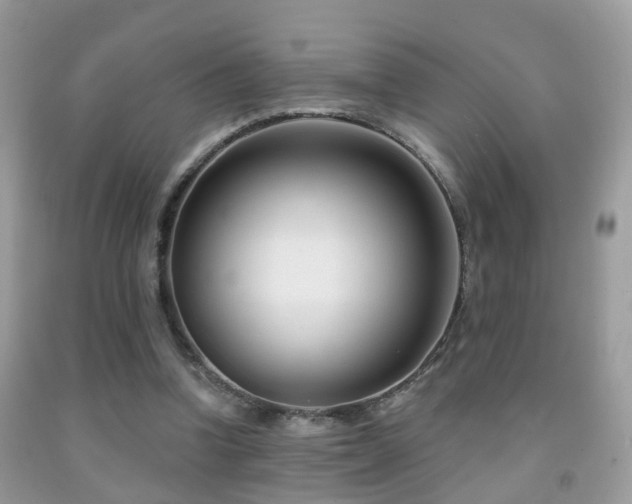 X0000091990346200709061423