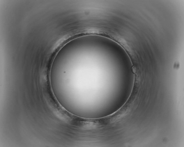 X0000091990347200709061423
