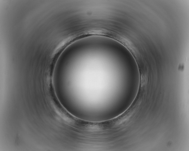 X0000091990349200709061423