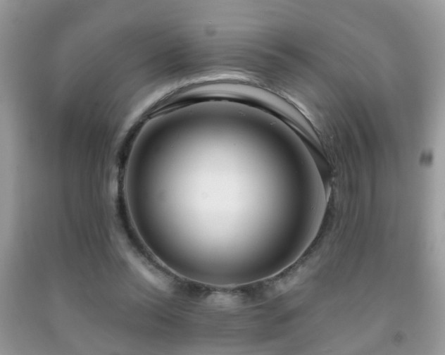 X0000091990350200709061423