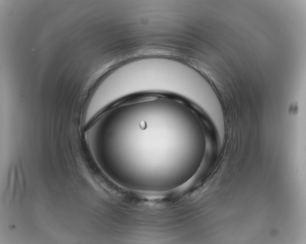 X0000091990352200709061423