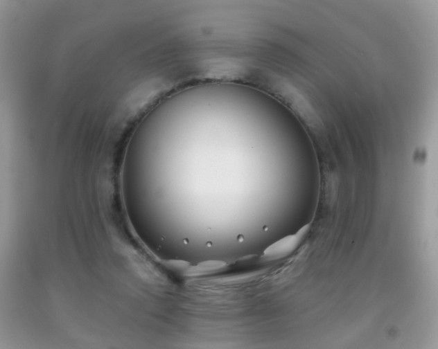X0000091990354200709061423