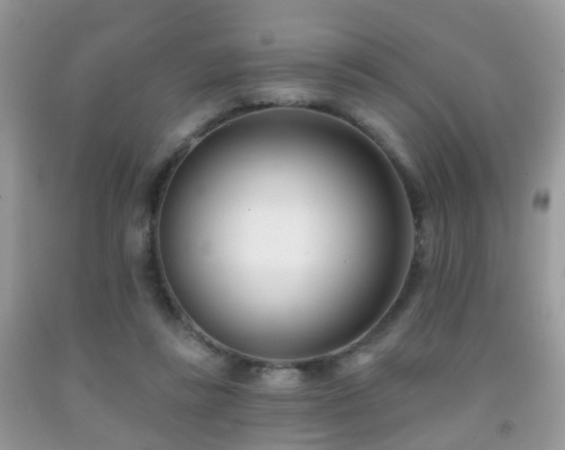 X0000091990355200709061423