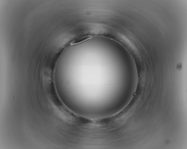 X0000091990356200709061423