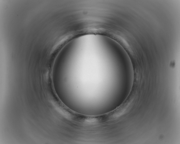 X0000091990357200709061423