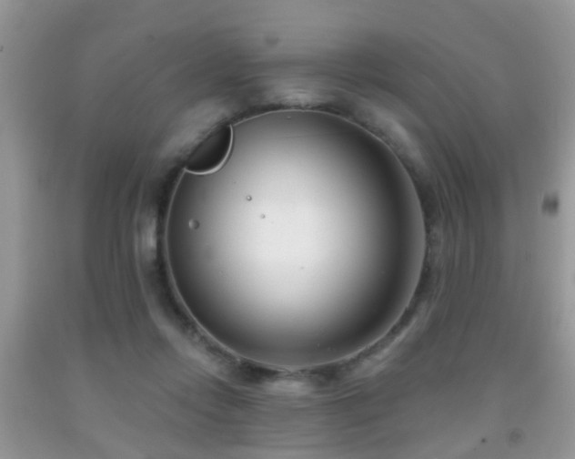 X0000091990358200709061423